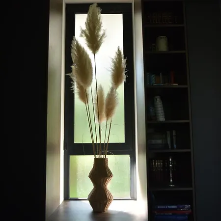 Rent Your Family Retreat In 노비사드