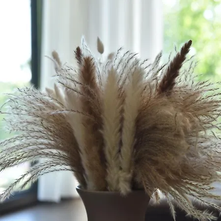 Rent Your Family Retreat In