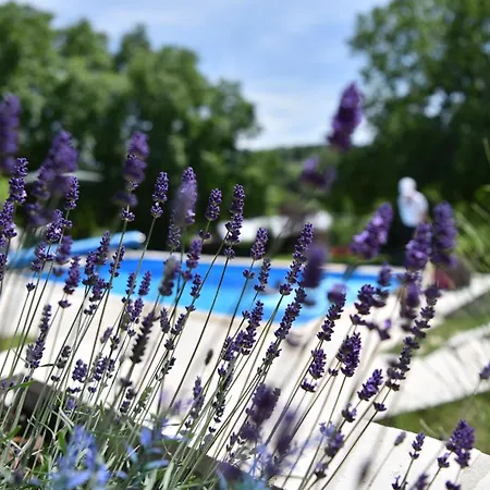 Rent Your Family Retreat In