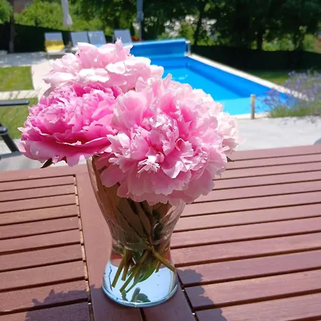 Rent Your Family Retreat In Vila Novi Sad