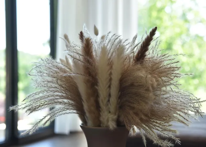 Rent Your Family Retreat In