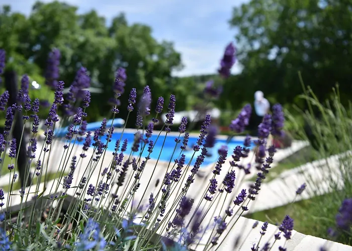 Rent Your Family Retreat In