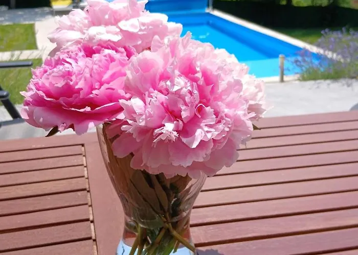 Rent Your Family Retreat In Villa Újvidék